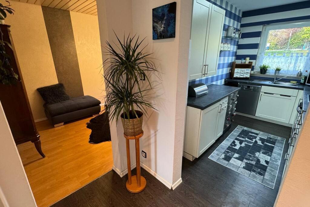 Monikas Home - Gemuetliche 3-Zimmer-Wohnung Im Herzen Von เบิบลิงเงน ภายนอก รูปภาพ